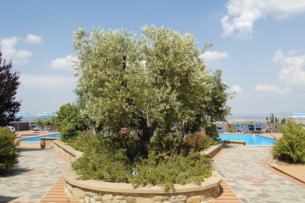 Apartment Il Casino Numero 5 Lajatico Εξωτερικό φωτογραφία